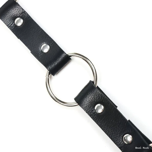 with and Kinky Anal Hook Leash 5853 EverydayUse Collar 0704